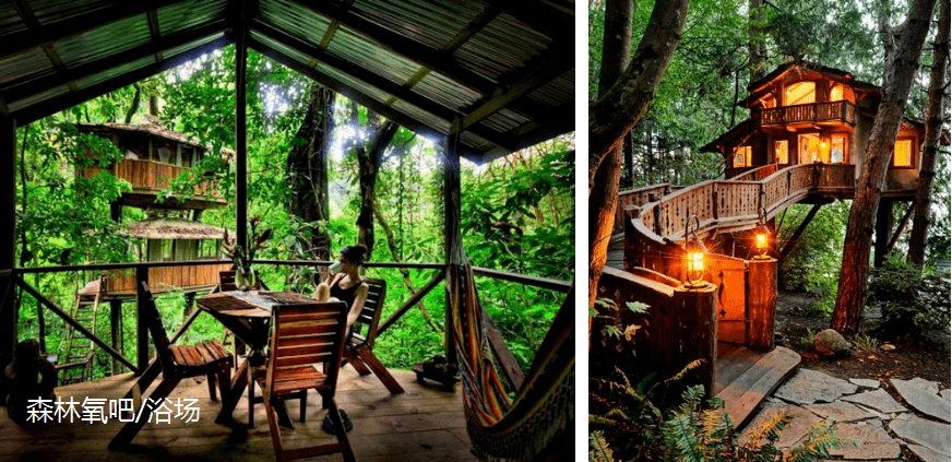 披云森林氧吧/浴场效果图高山运动,休闲乐园效果图星空营地效果图.