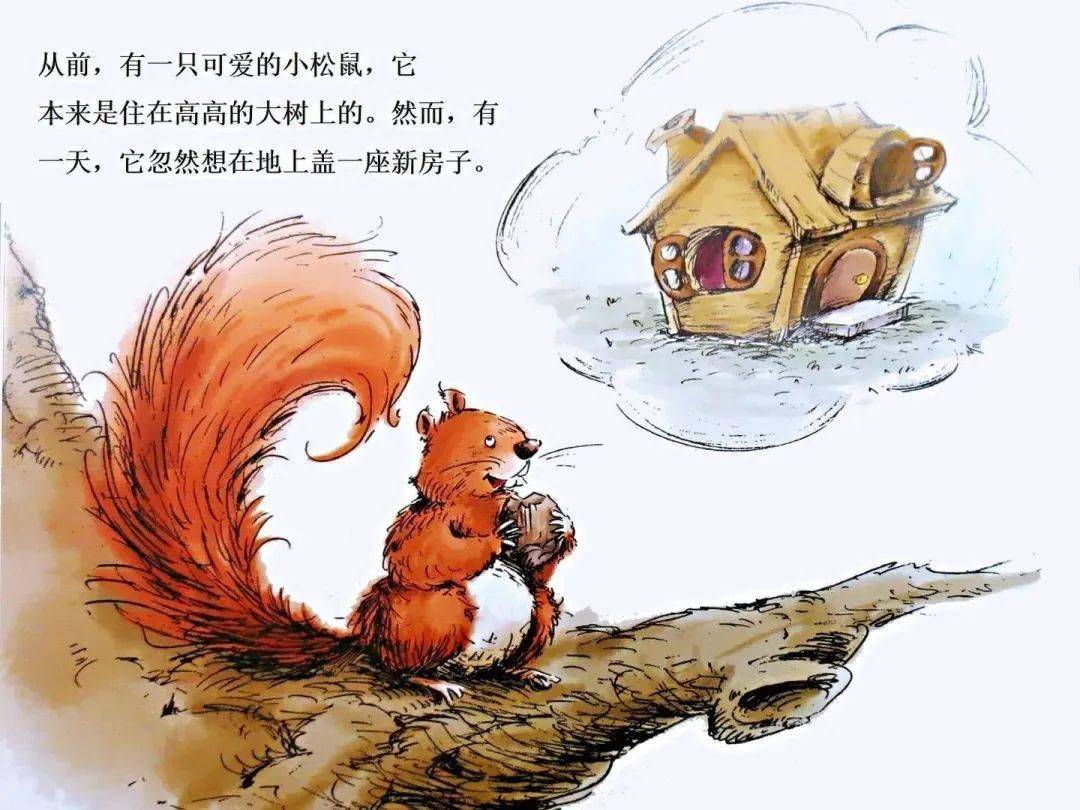 【橙·快讯】小班亲子陪伴推荐第五期