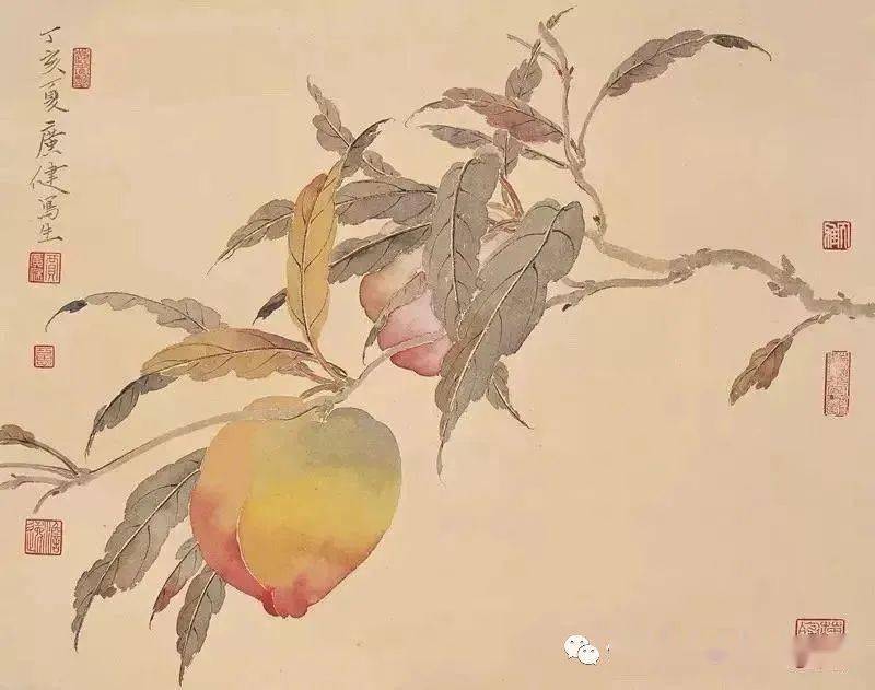 这位美院院长的没骨花鸟,静美!_贾广健