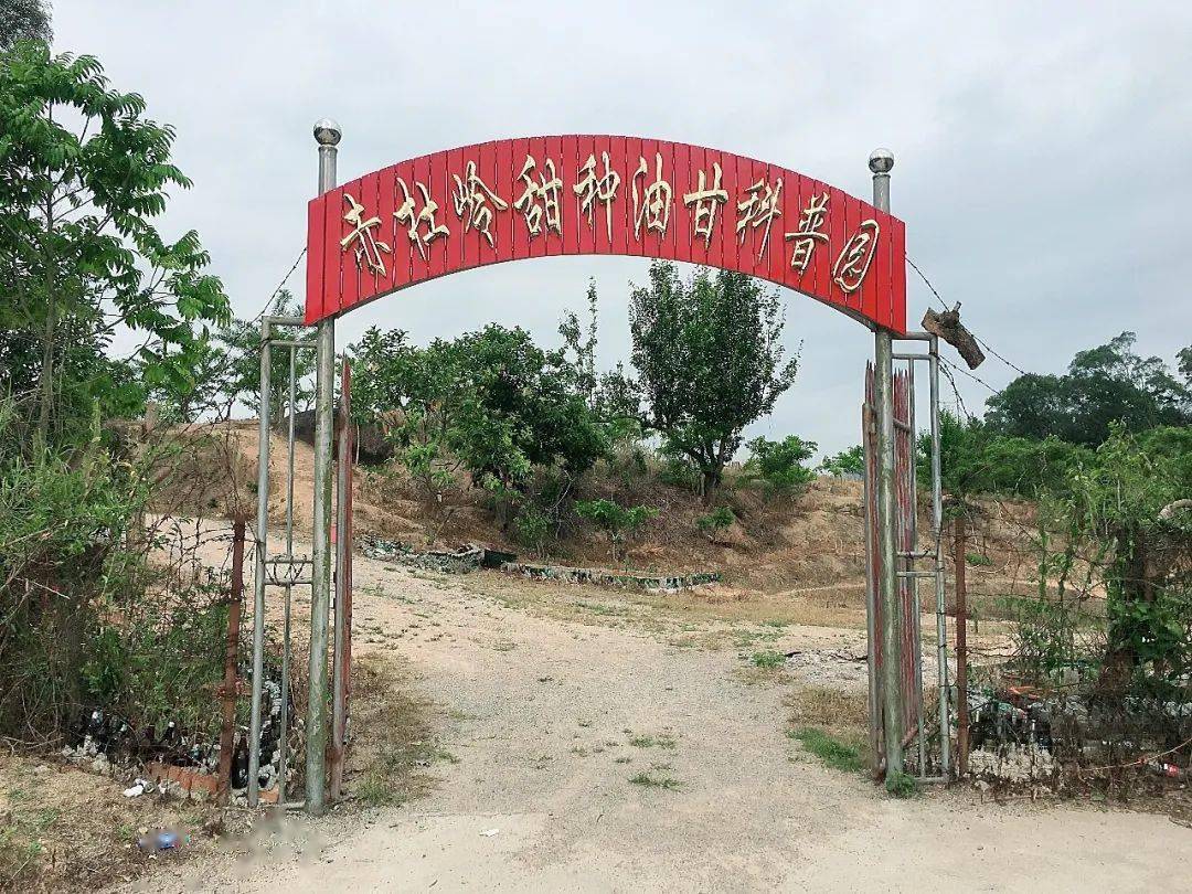 依托红色资源注册集体商标│赤杜岭助力深洋村奔小康