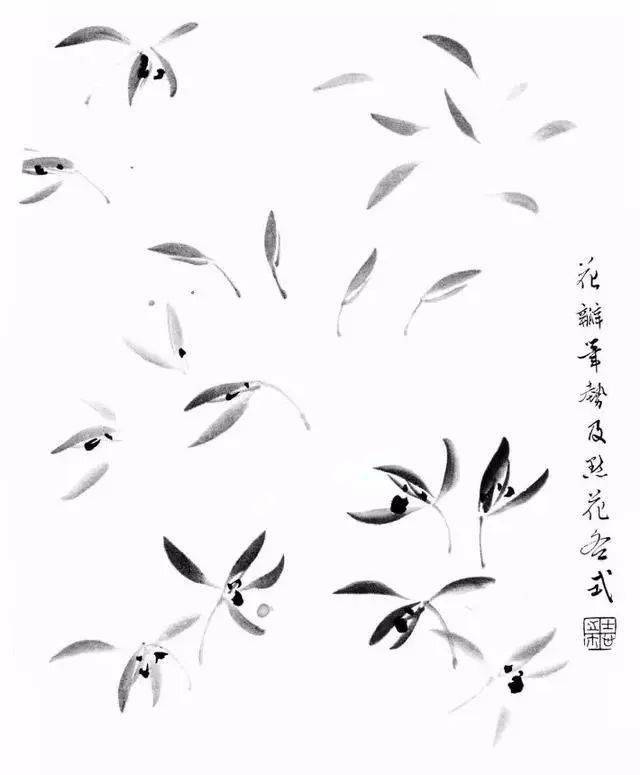 兰花花朵画法图片