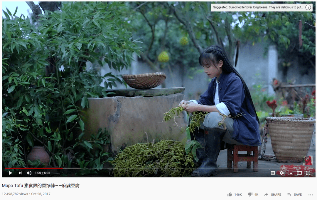 李子柒疑遭越南美食博主"复制粘贴式"抄袭,律师:维权难度较大