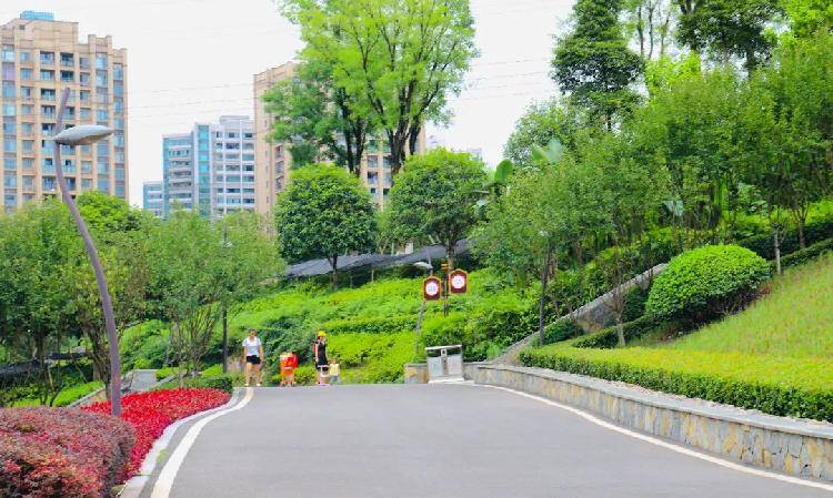 重庆九龙坡区幸福公园图片