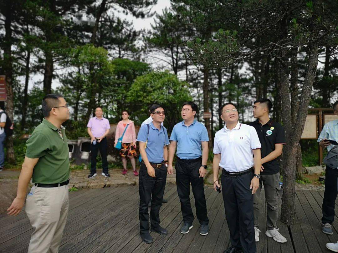 省文旅厅一级巡视员吴立官到德化指导开展旅游品牌建设提升工作