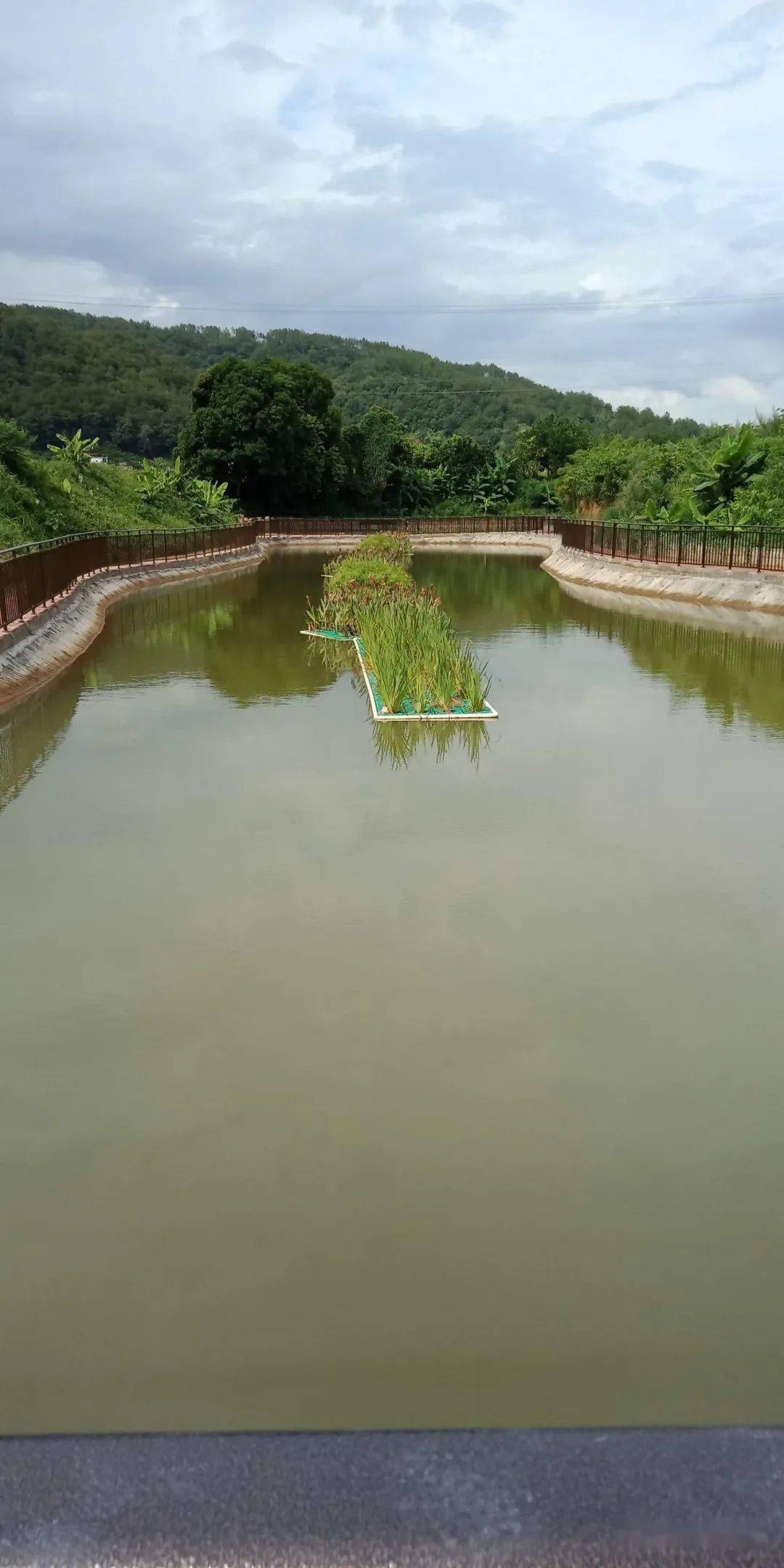 三洲生态氧化塘建设中67