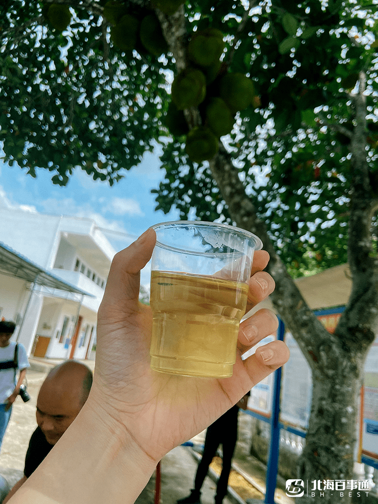 北海第一高峰上有什么?超美茶田,风力发电机