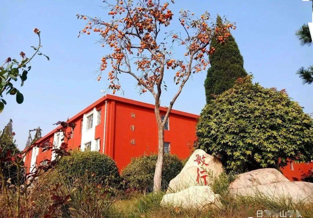 相约青山 || 2020年日照青山学校招生简章