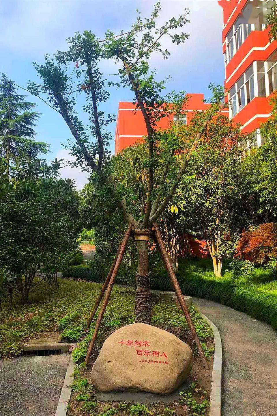 第334期愿我们归来根深叶茂上海市金杨中学2020届初三年级毕业典礼