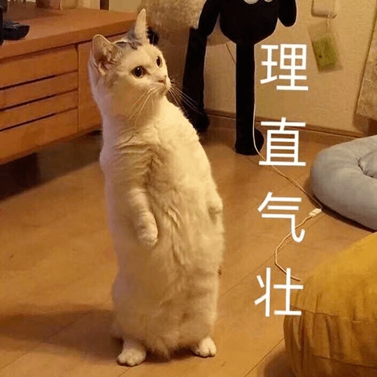 猫哭起来有多丑?长见识了