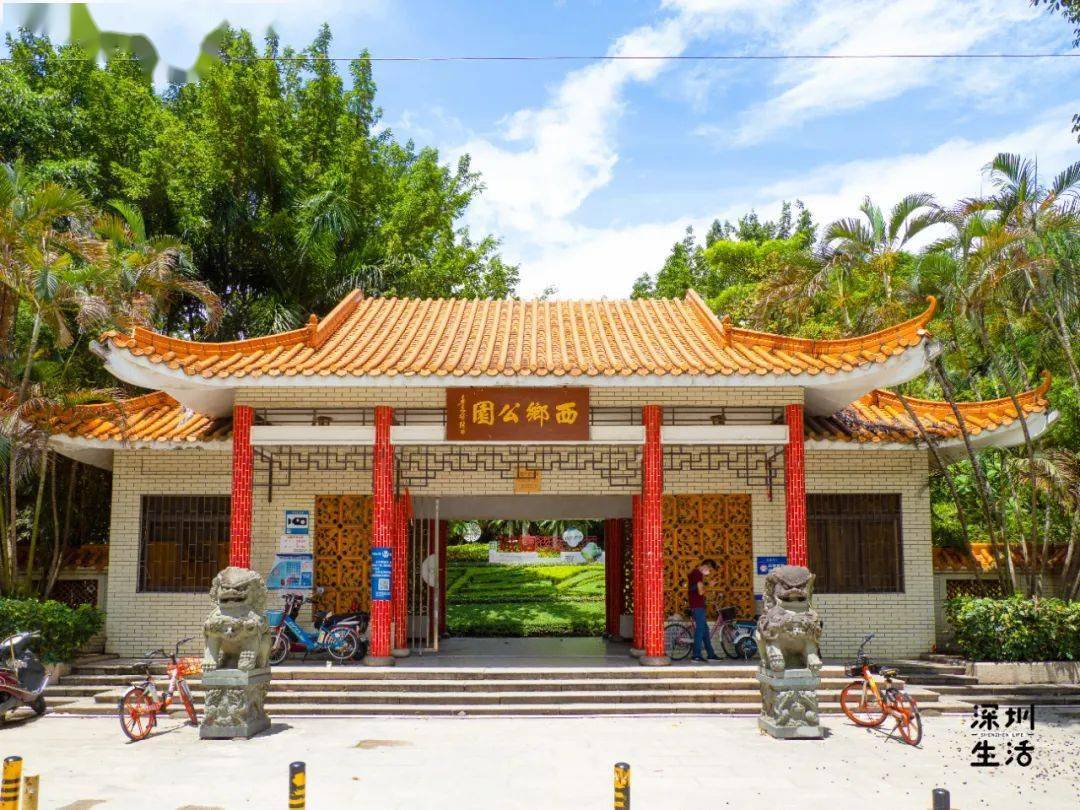 因为西乡我不愿离开深圳