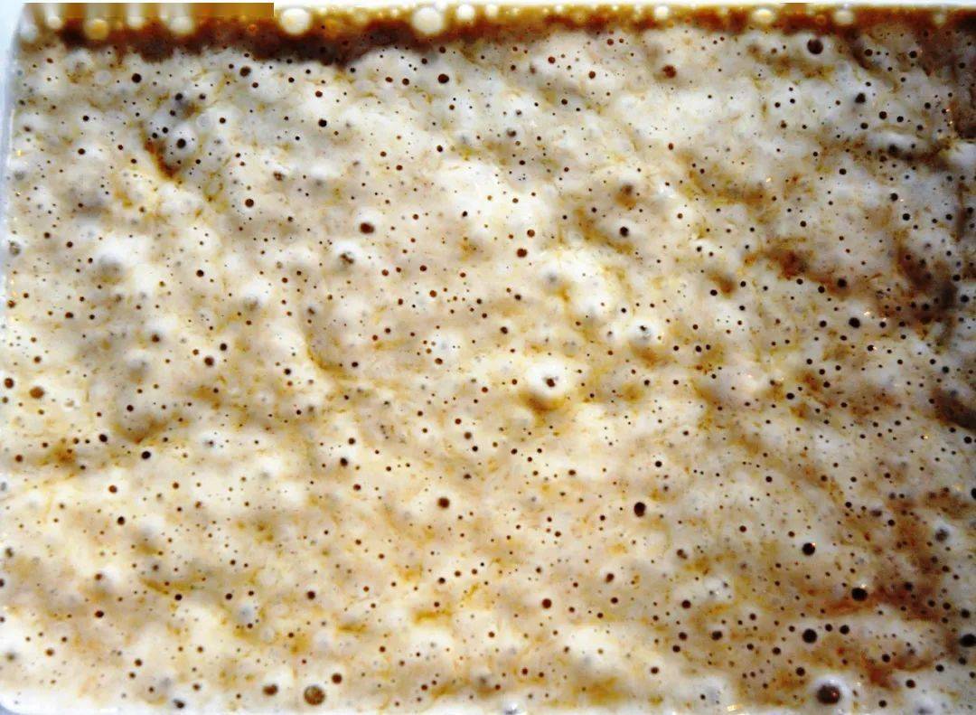 【密恐慎点】被骂矫情和过激的密集恐惧症,可能让