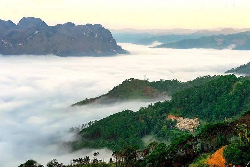 水上森林——富宁天湖壮景生态旅游区