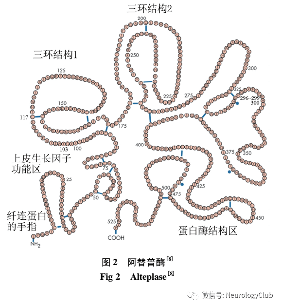 2 阿替普酶(alteplase,rt-pa)分子结构是由产自人类黑色素瘤细胞的内