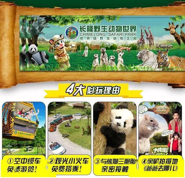 直通车来啦动物园必选广州长隆野生动物世界萌帅酷