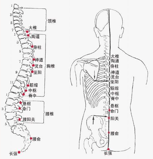 好消息!通州也有地方可以做三伏灸了,受北京市民热捧