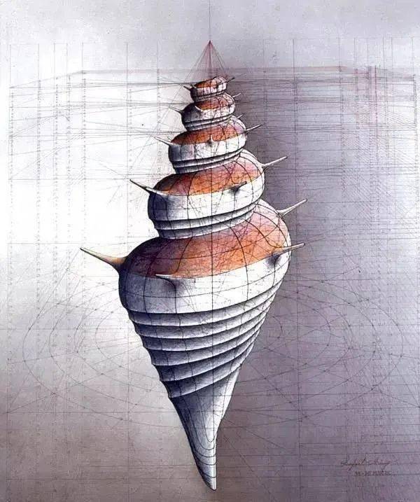 盐设计 · 用原规,尺子,量角器作画,这些黄金比例的蝴蝶在他手中美得