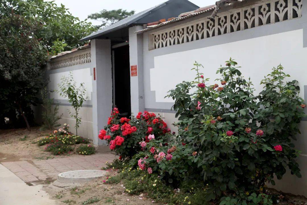 昌黎文化行两山乡草粮屯多业并举奔富庶