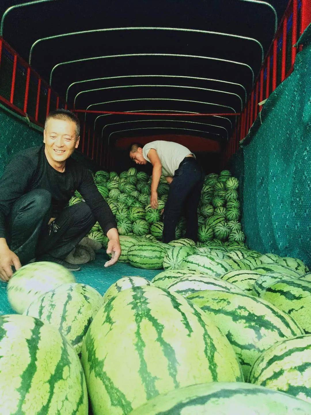 金昌金川区设点有序摆摊解决瓜农卖难