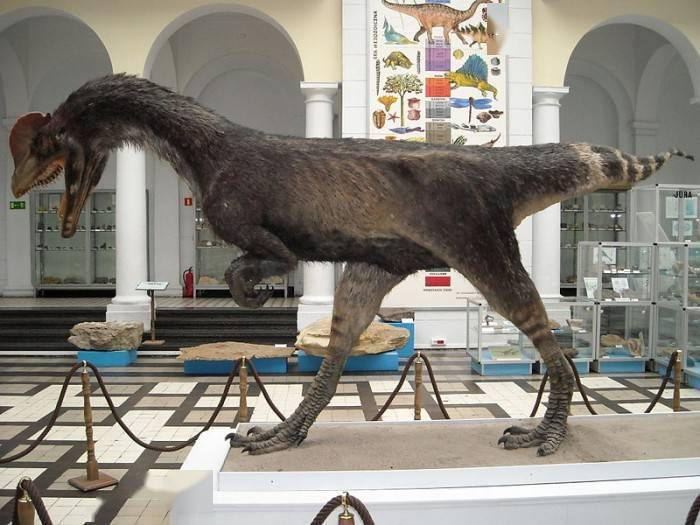 科学家对双冠龙有了更准确的了解 与《侏罗纪公园》中的描述大相径庭