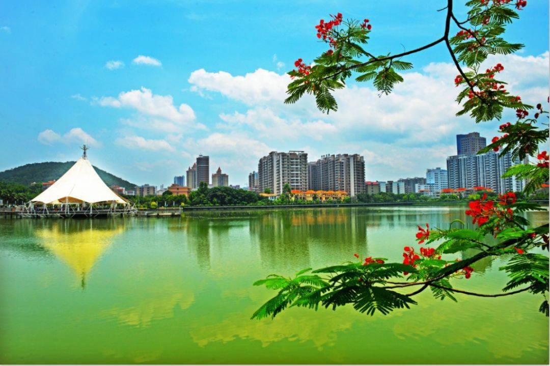 龙湖公园位于德庆县城的中心,△康城航视 徐向光 摄上演着一个个奋斗