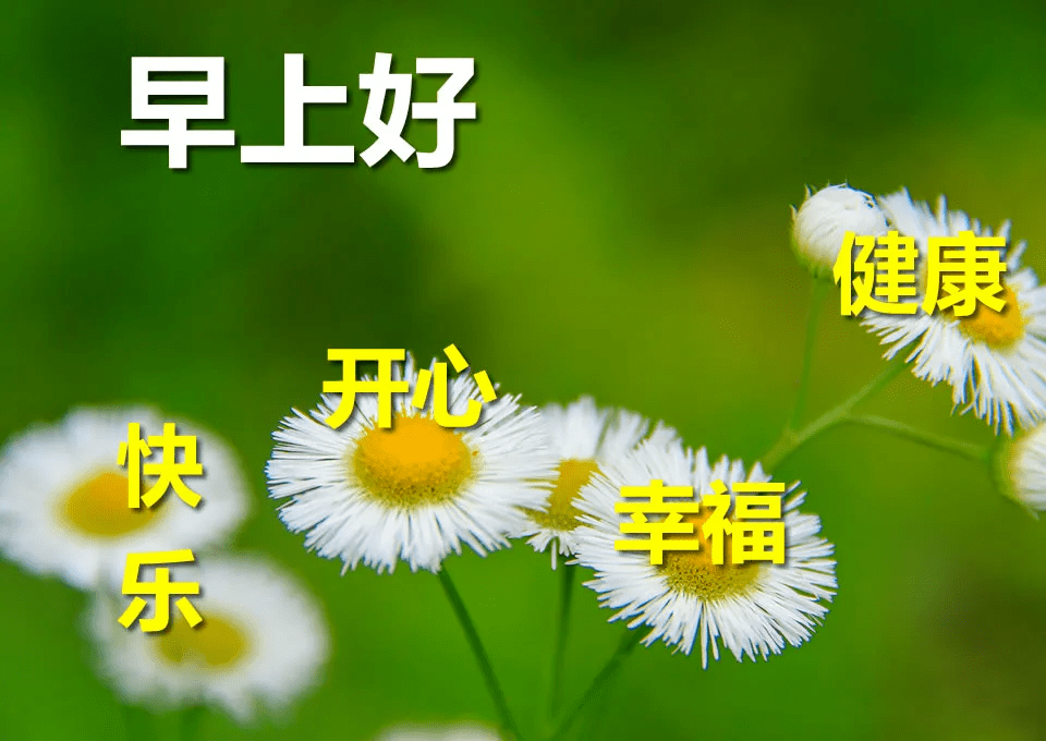 早上好關心朋友的甜蜜句子帶圖片清晨最暖心的早安問候句子帶字圖片