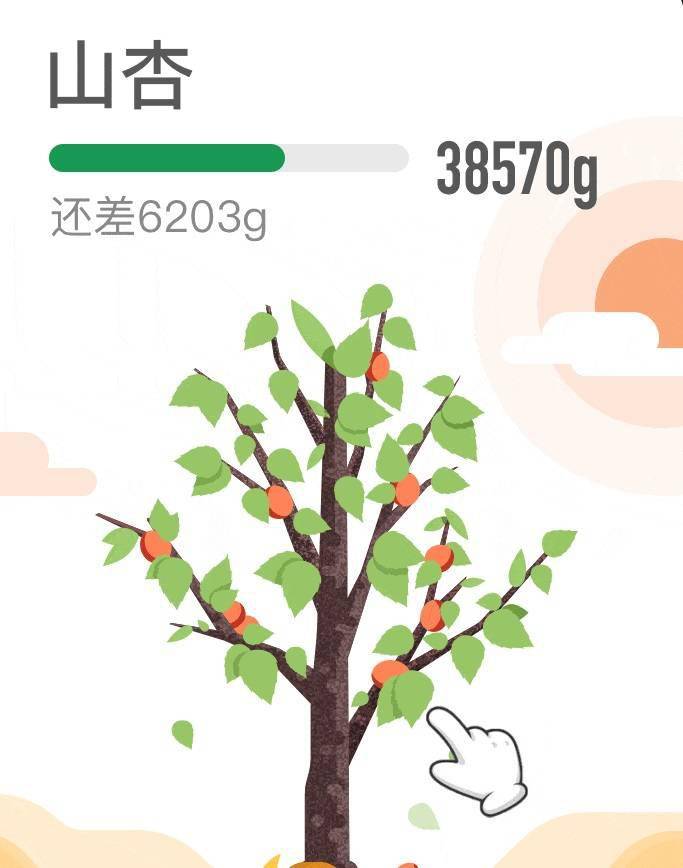 支付宝蚂蚁森林上线山杏:可以吃,能量最少的大树