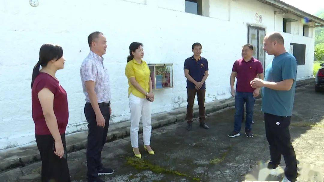 关注为了这事县长到坂里乡调研