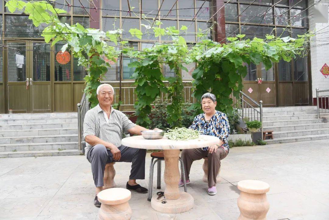 曾花费20万打造村庄小游园肥乡这位老党员很厉害