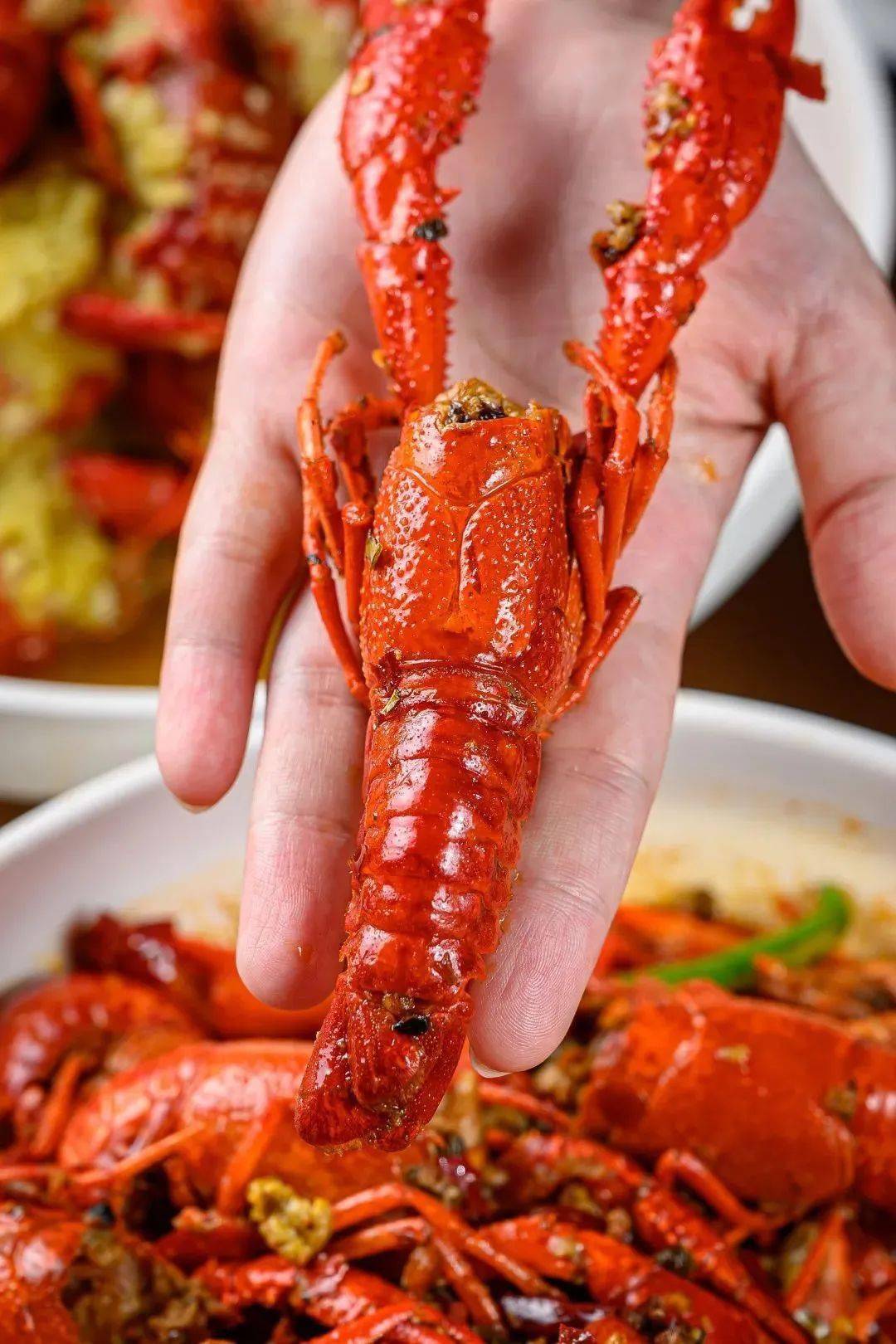 8折开吃!巴掌大的爆膏小龙虾!就在东晓南!