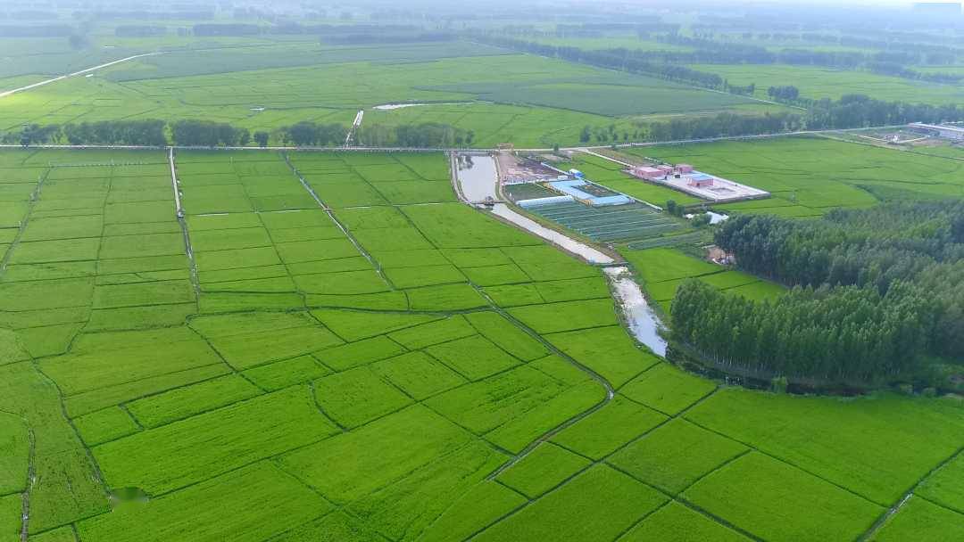 内蒙古扎赉特旗国家现代农业产业园:"生态"妙笔绘就现代农业发展多彩