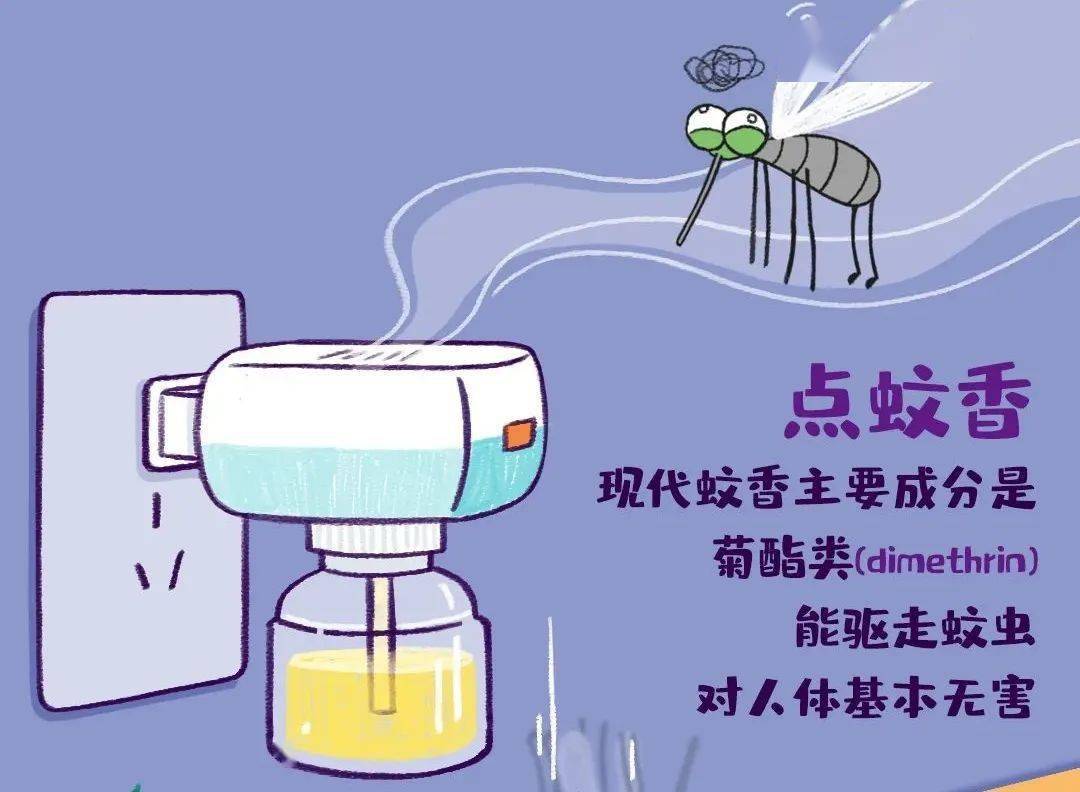 【小材的夏日秘籍】防蚊虫小贴士