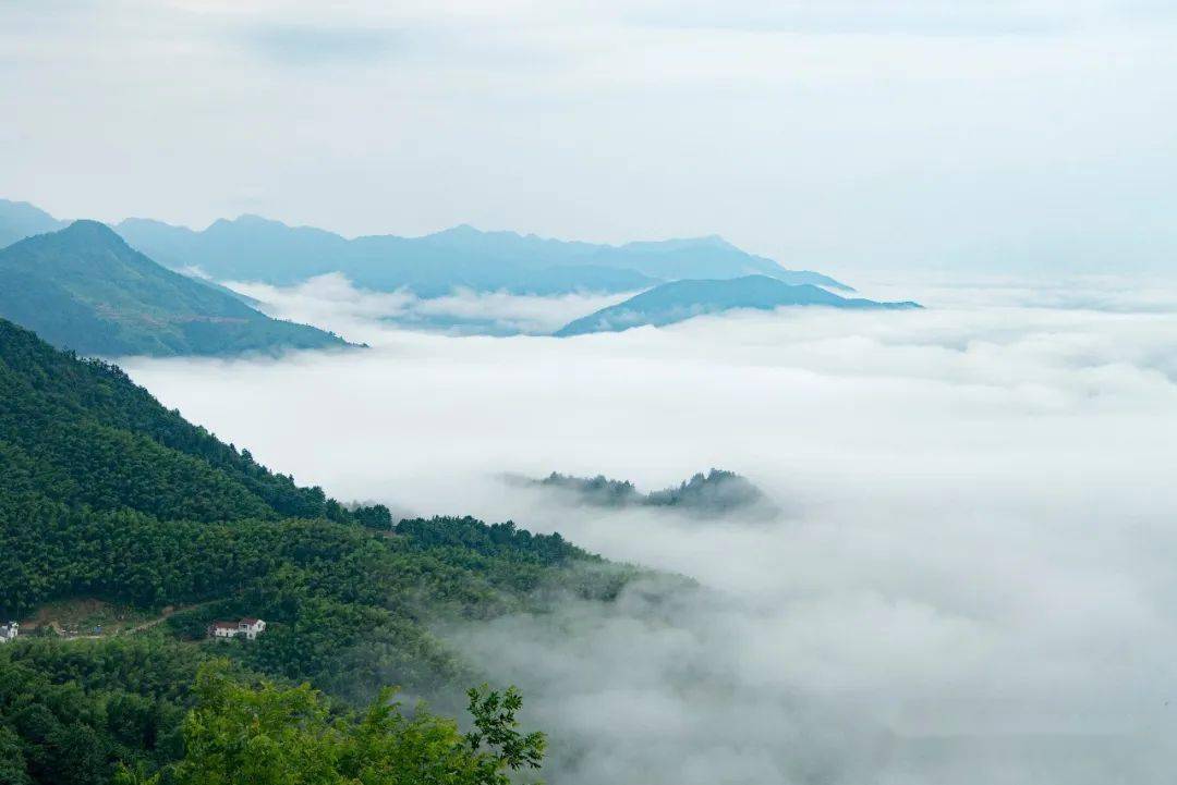 煙嵐雲岫九華山的另一種絕美氣質