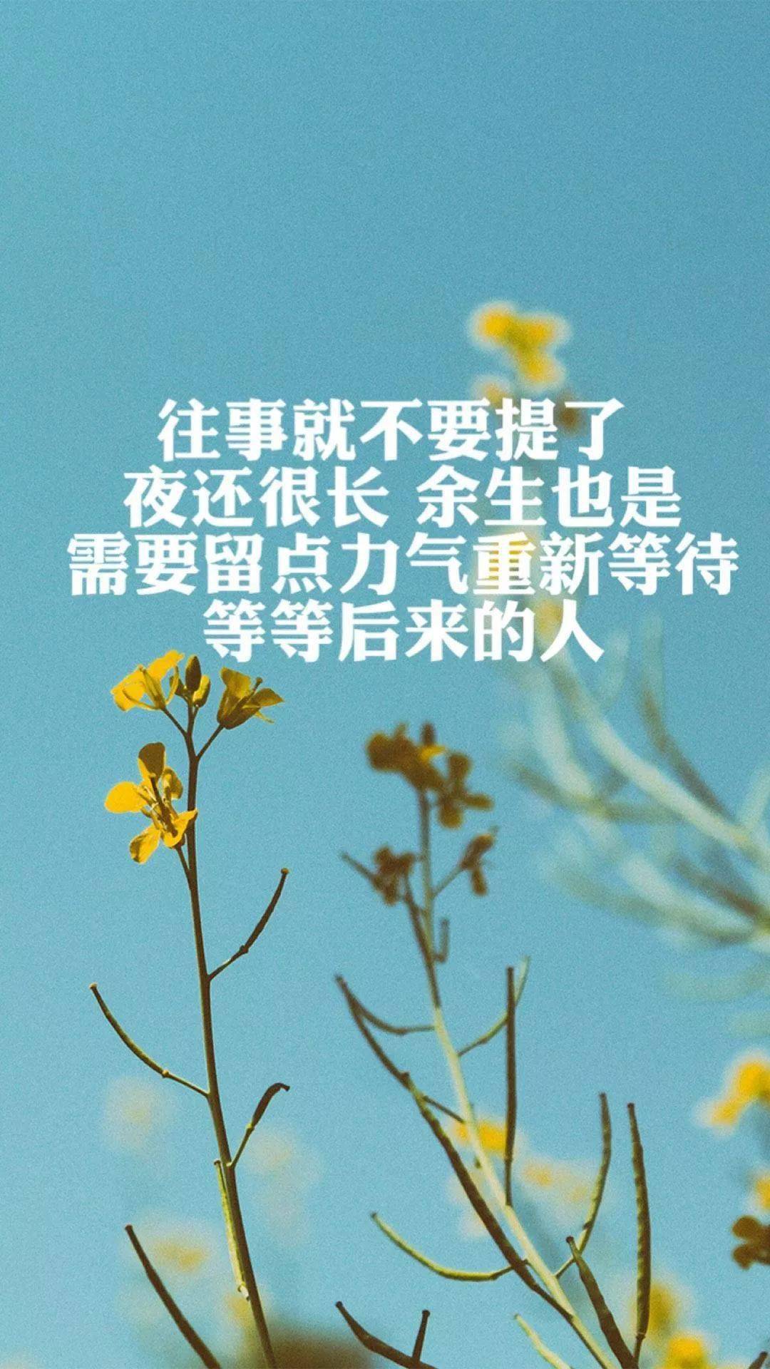 那些说走就走的洒脱,是指有足够财力支持的