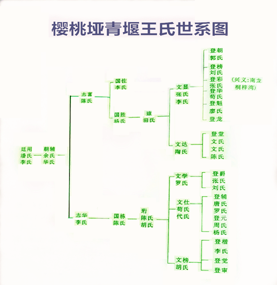 贵州遵义最早王氏家谱图片