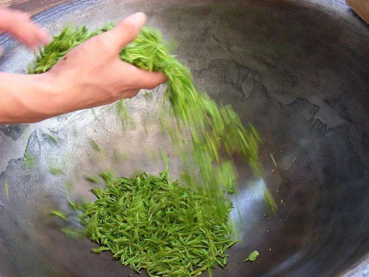 什么是茶叶杀青