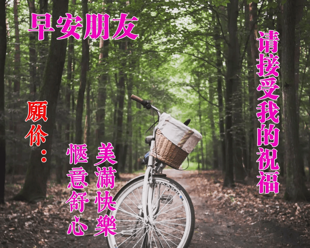 夏季早上好最美早安溫暖人心問候句子精美的早安問候語圖片