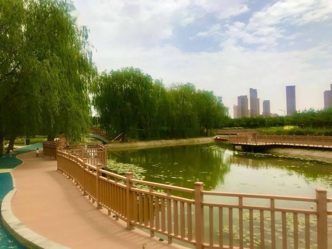 武威核桃园大变身新面貌首次曝光