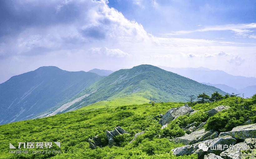山鹰户外特价月7月18日秦岭十峰登顶洛南第一峰登顶草链岭赏山花烂漫