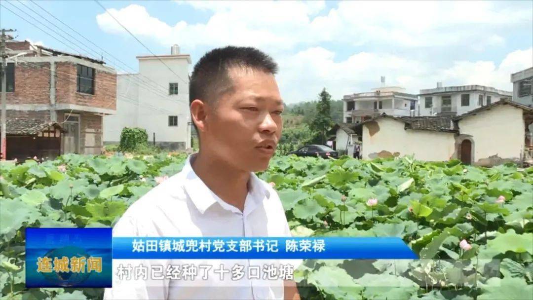 单条回放连城姑田一建设四改造让村民共享新农村建设成果