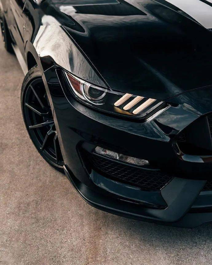 福特野马shelby gt350,终极眼镜蛇