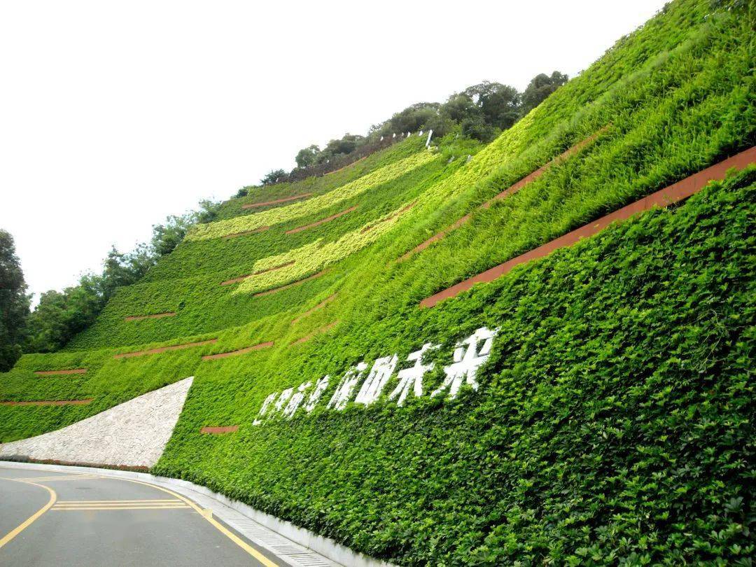 经典鉴赏江苏盐城戴庄路垂直绿化工程