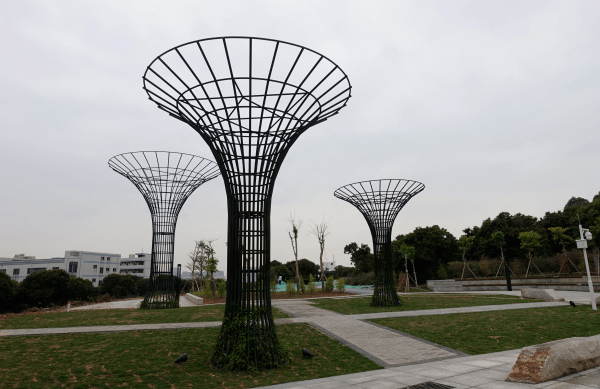 深圳龟山公园