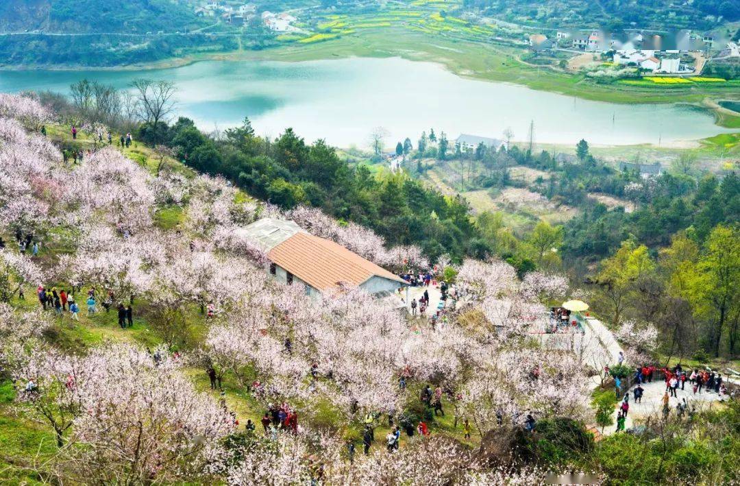 黃石大冶保安鎮沼山村,風景秀美,民風淳樸,水資源豐富,更有大冶八景之