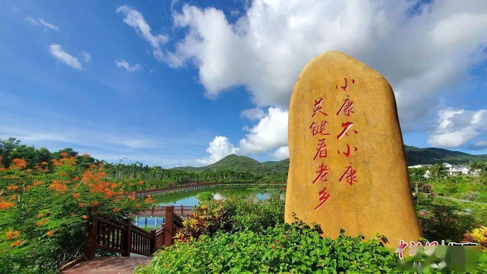 海南日报 武威 摄 三亚市 吉阳区博后村 吉阳区大茅村 海棠区湾坡村