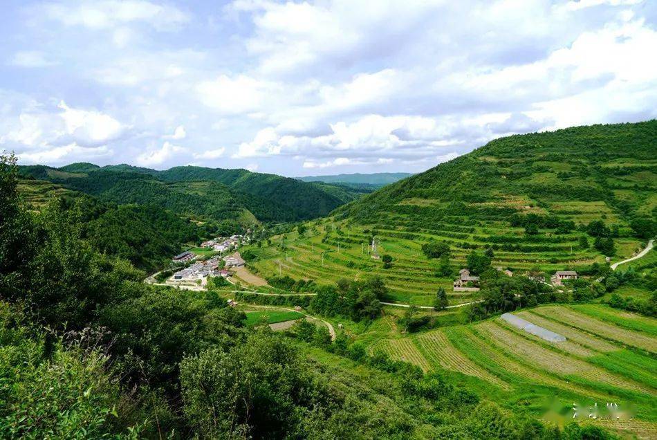 走向我们的小康生活长沟村金银花里有金银