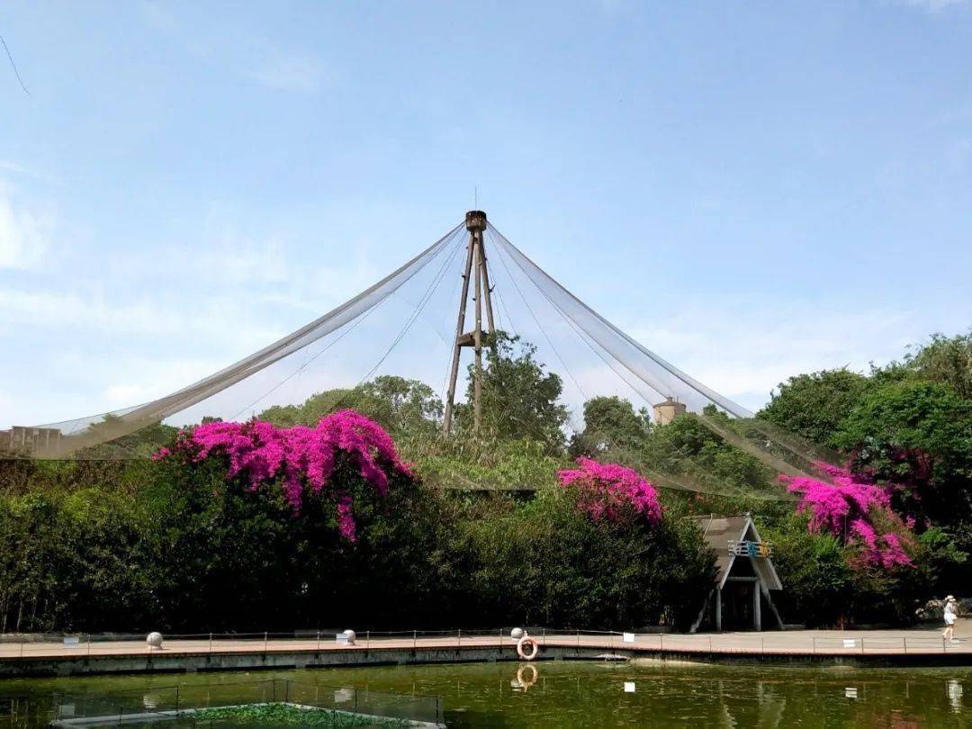 "舒畅清凉新生活"系列活动——我与百鸟苑