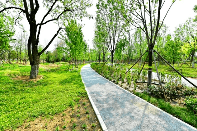 通州"城市绿心"公园规划近5000个车位,10月前开放