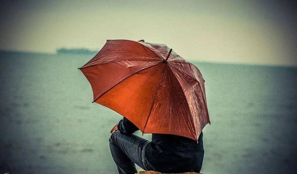 风雨人生谁是为你撑伞的人
