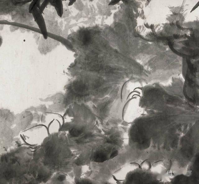 八大山人最精美之花鸟长卷合集