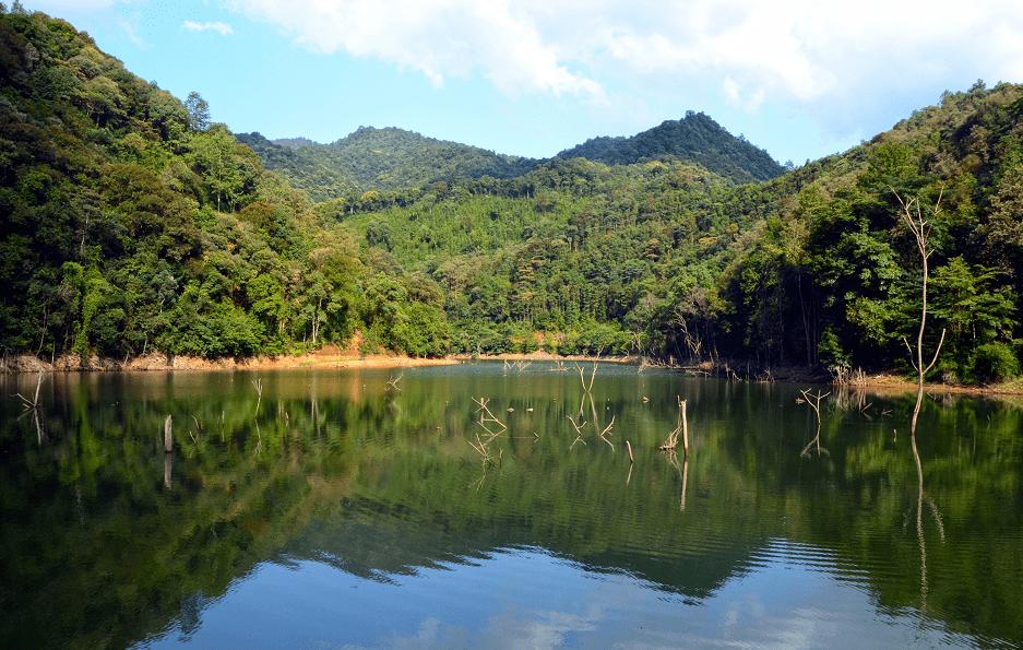 喜讯!车八岭,刘张家山被选入了广东省自然教育基地